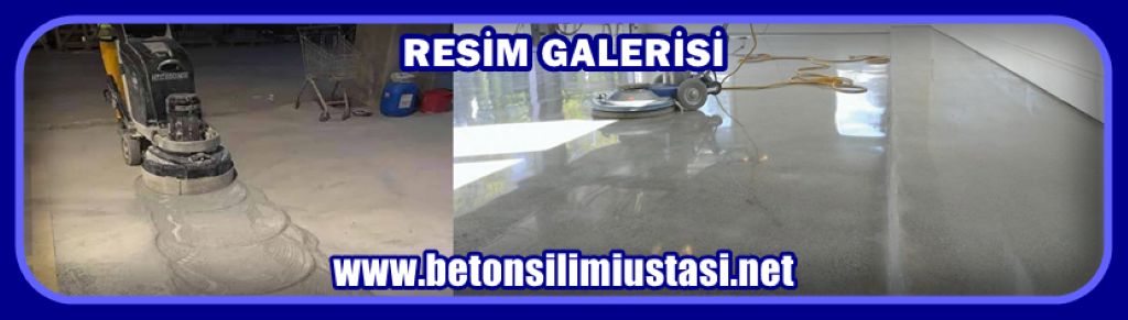 SİLİM ÇALIŞMA RESİMLERİ